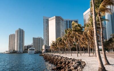 Flat vs Pitched Roofs: Best Choice for Commercial Buildings in Miami FL